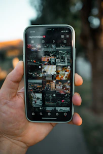 a person holding up a cell phone with pictures on it
