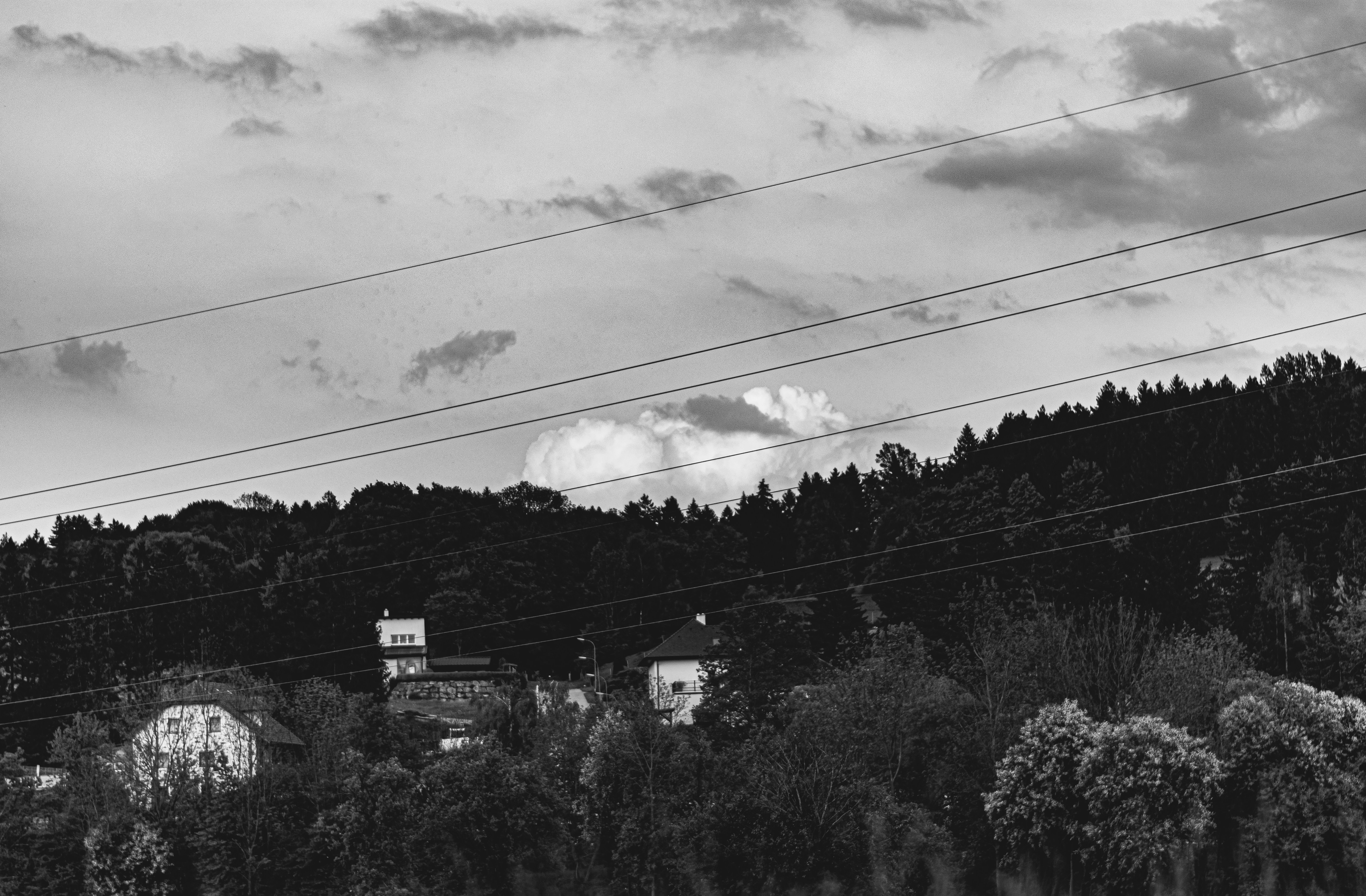Photo by denisbayer