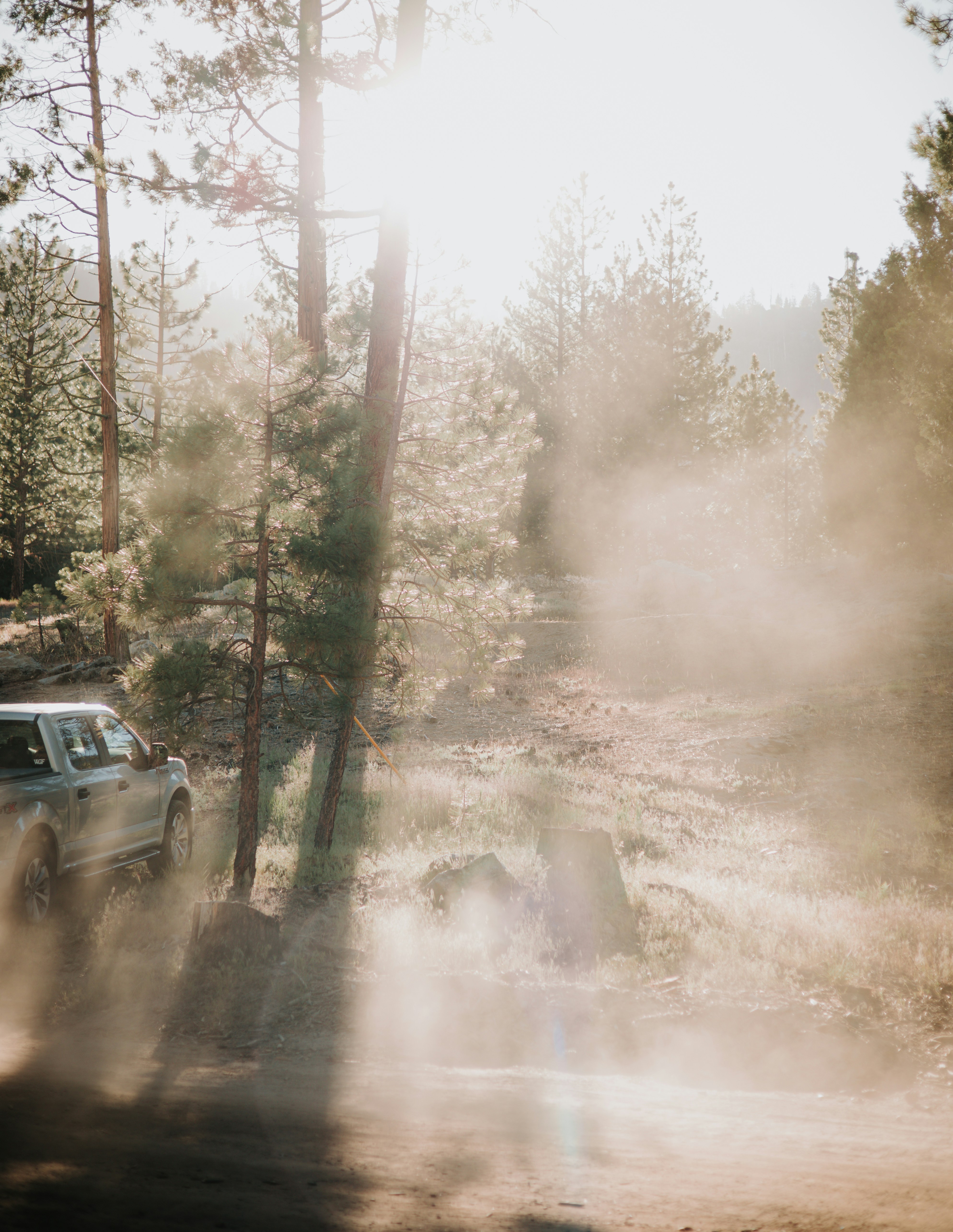 Photo by jeffersonsees