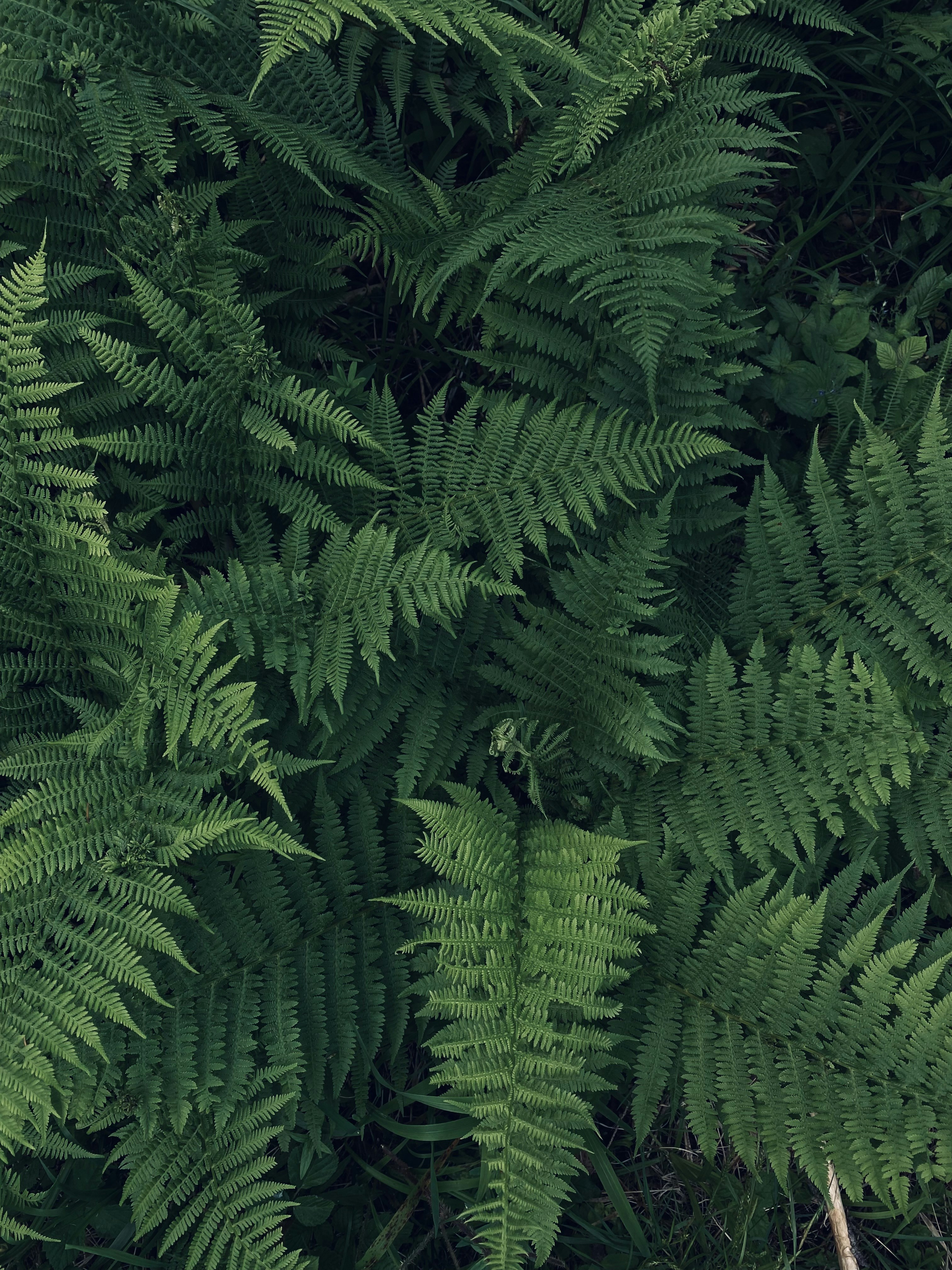 Photo by alex_emanuel20