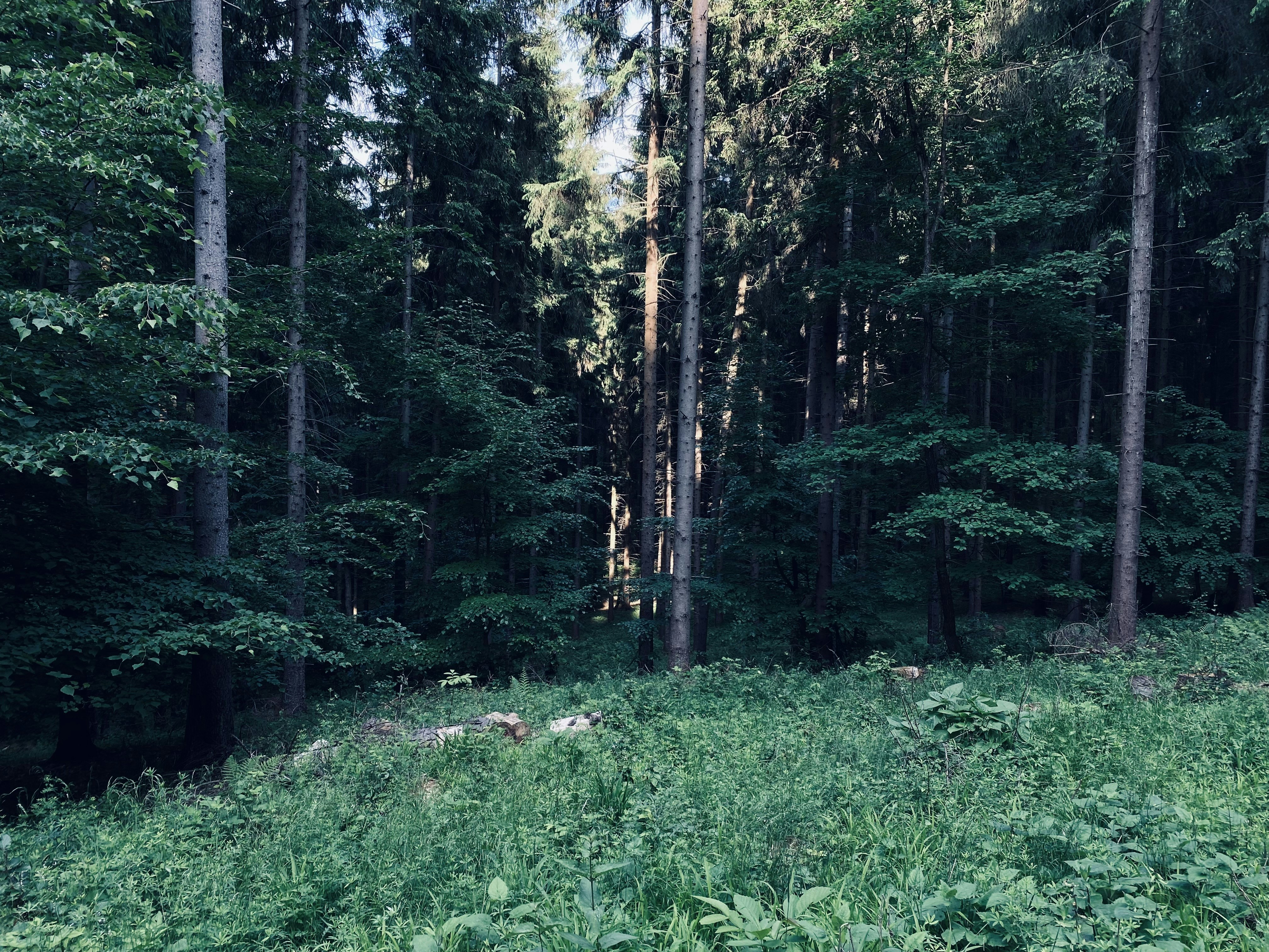 Photo by alex_emanuel20