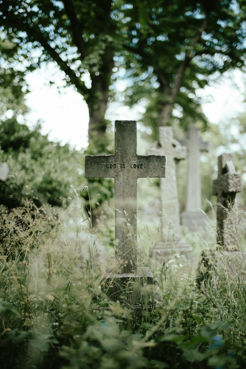un cimitero con una croce al centro