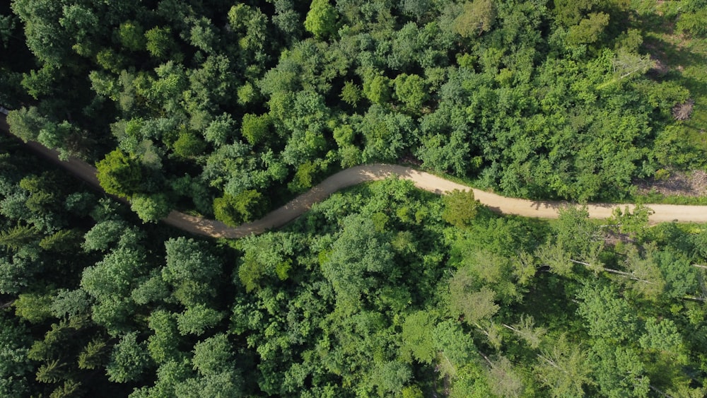 an aerial view of a dirt road in the middle of a forest