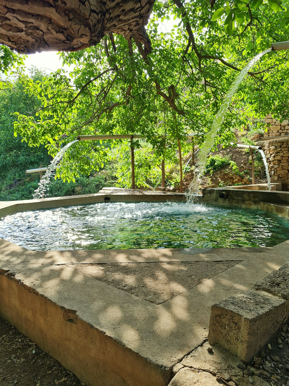 a large pool of water surrounded by trees