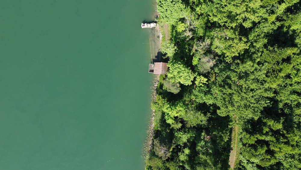 an aerial view of a lake surrounded by trees