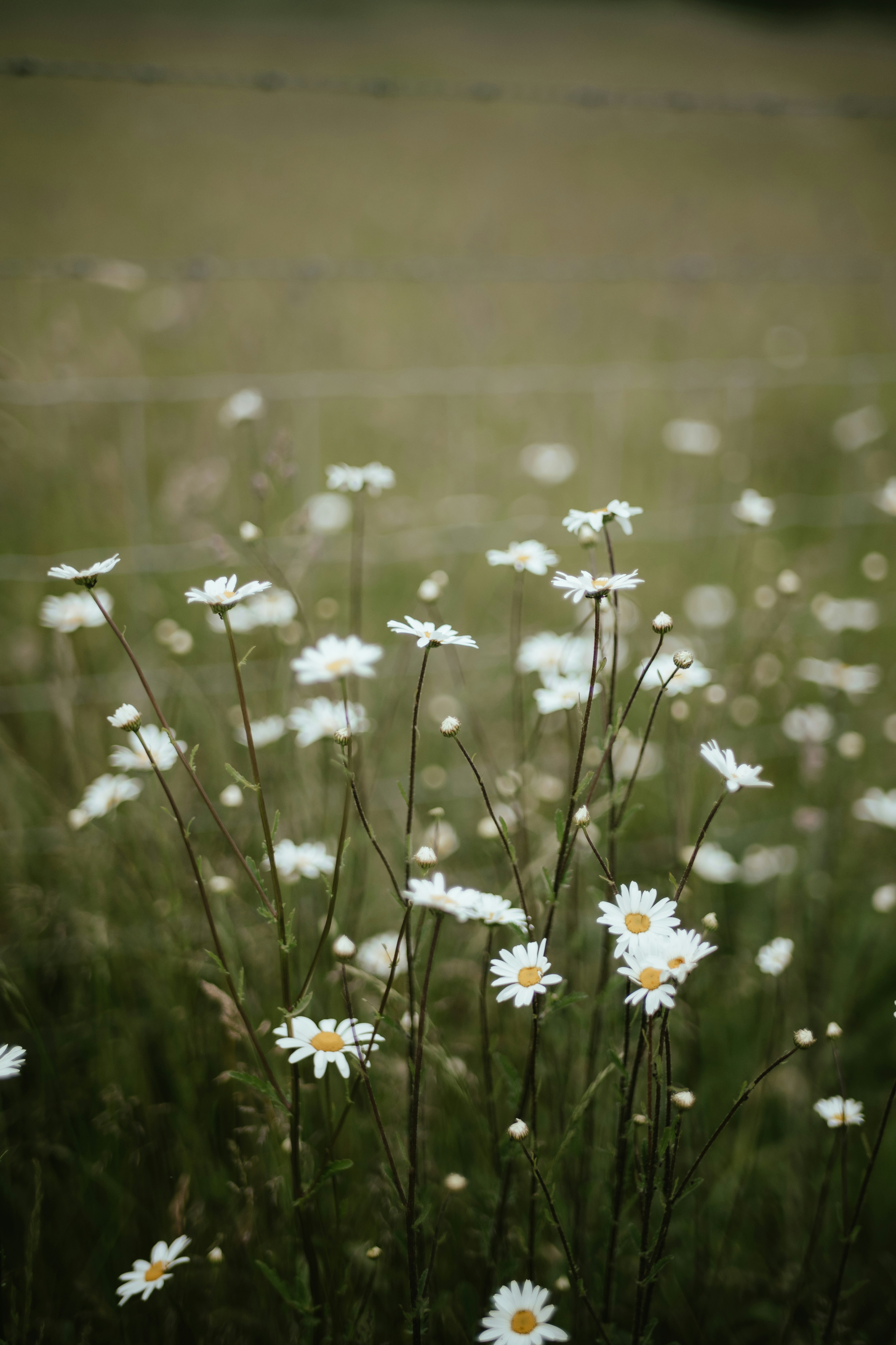 Photo by anniespratt