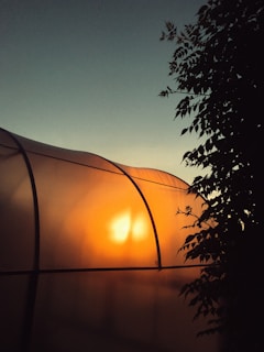 the sun is setting behind a green house