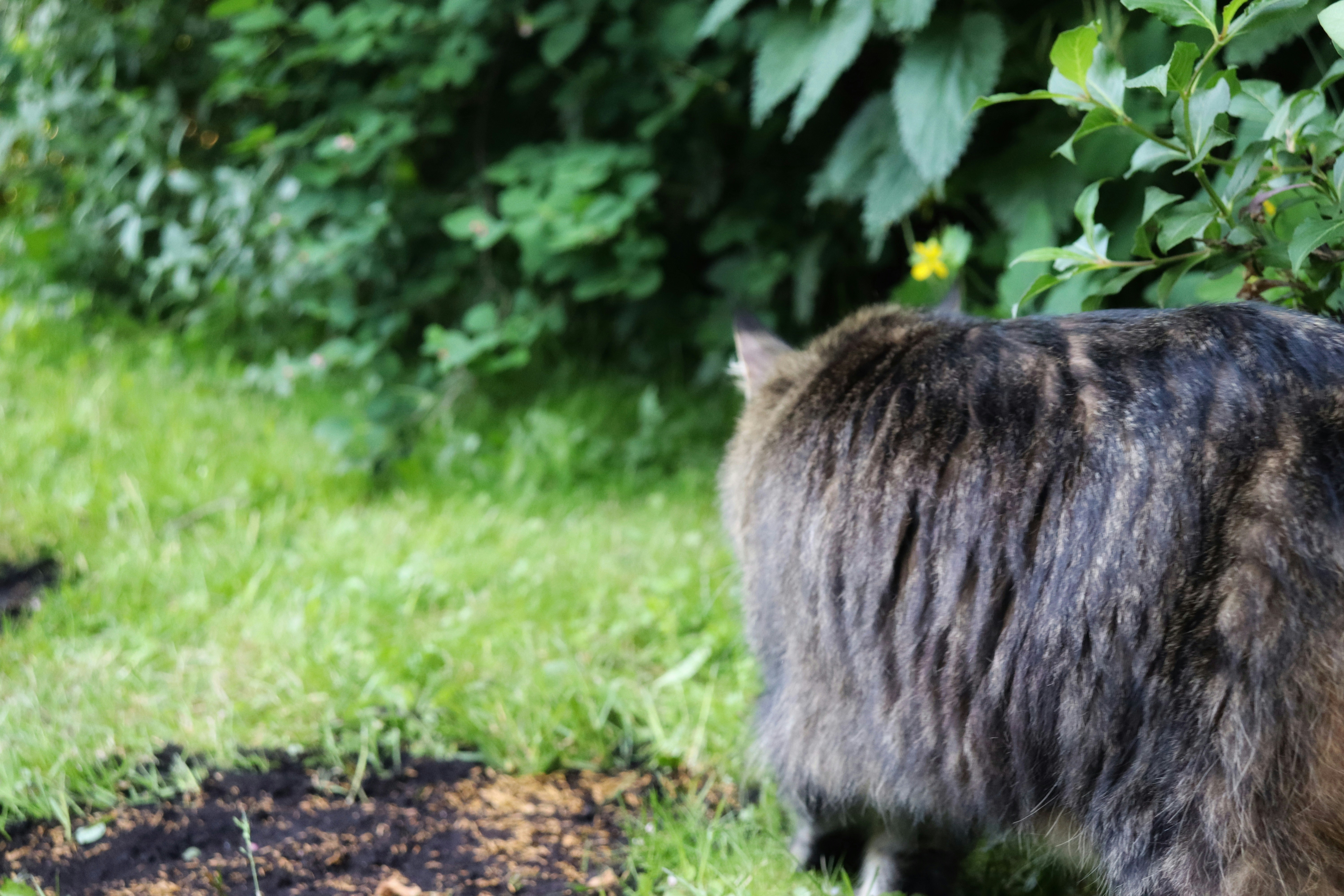 Photo by augustinfoto