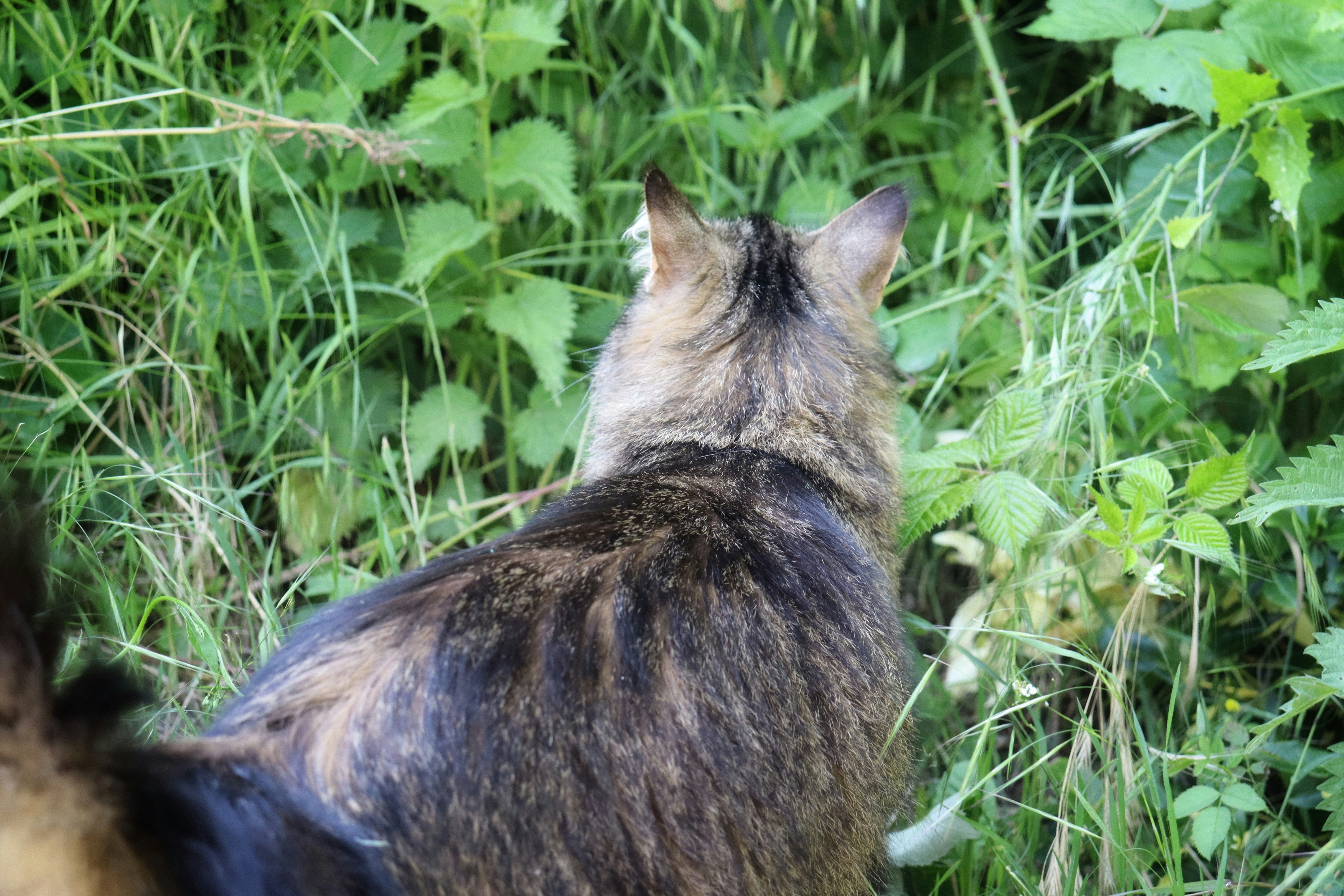 Photo by augustinfoto