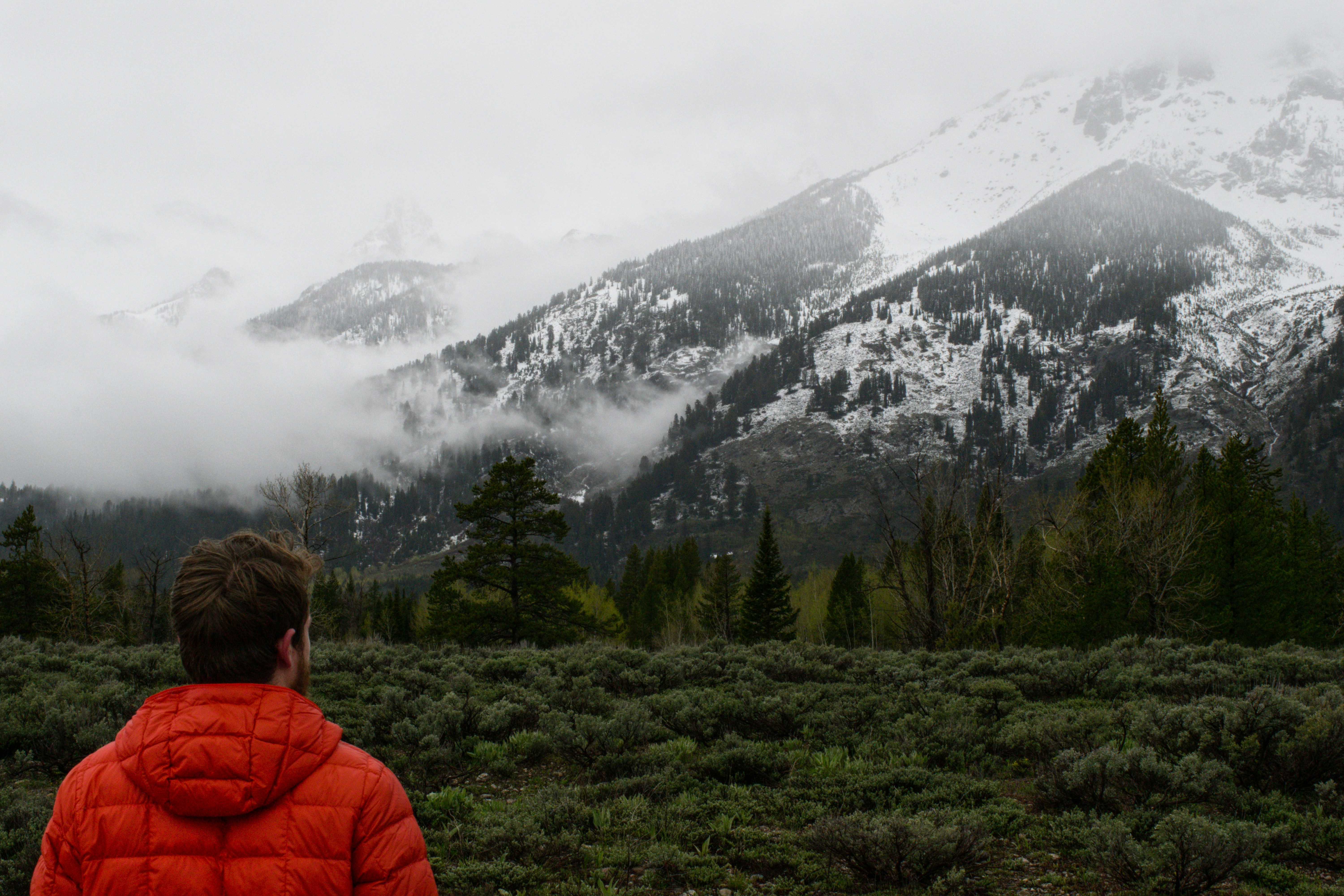 빨간 재킷을 입고 산을 바라보는 사람