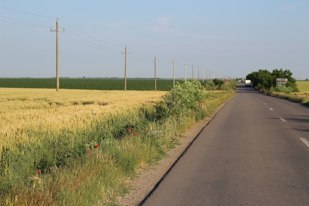 a rural road with a field of wheat in the background