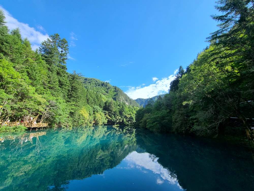 a body of water surrounded by trees on a sunny day