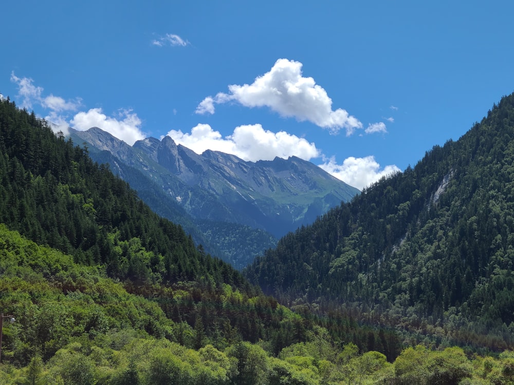 a view of a mountain range from a river