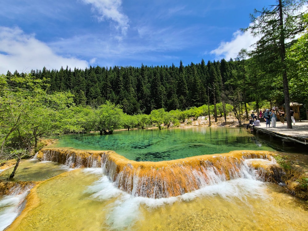 a small waterfall in the middle of a forest