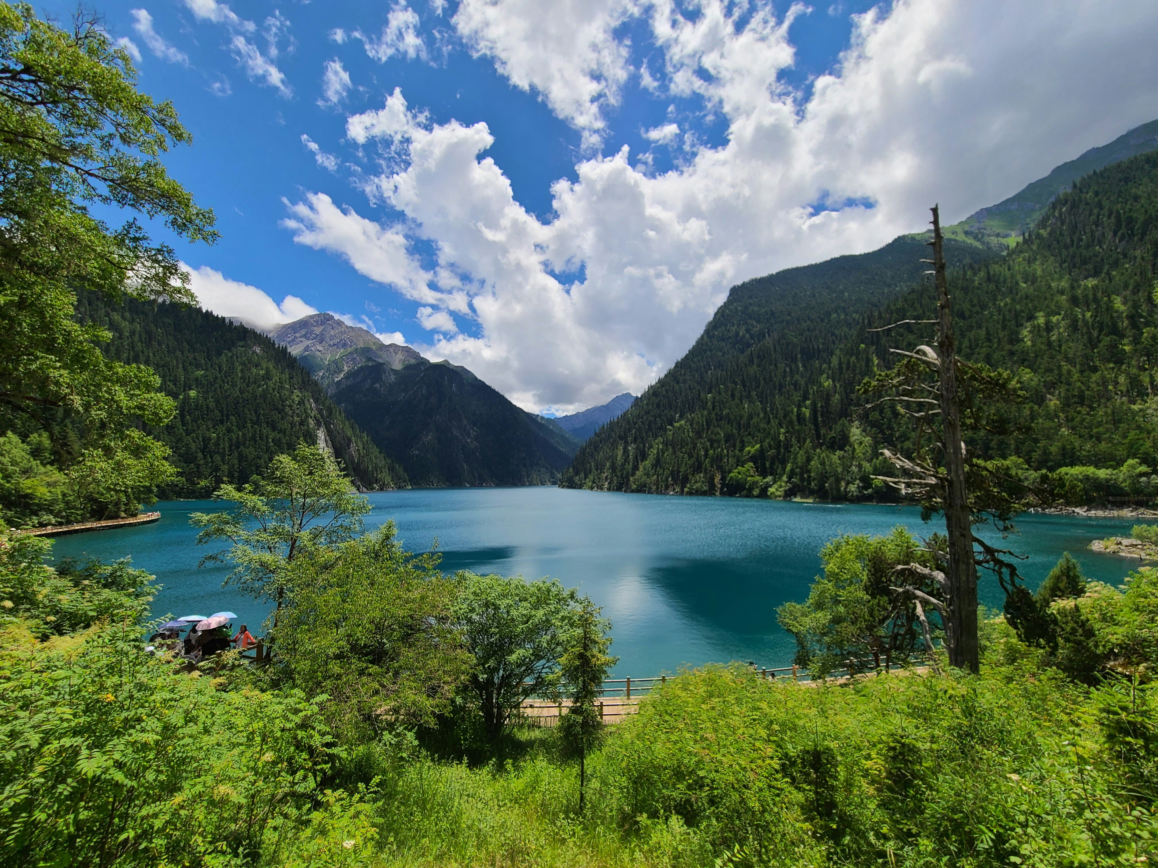 a blue lake surrounded by trees and mountains