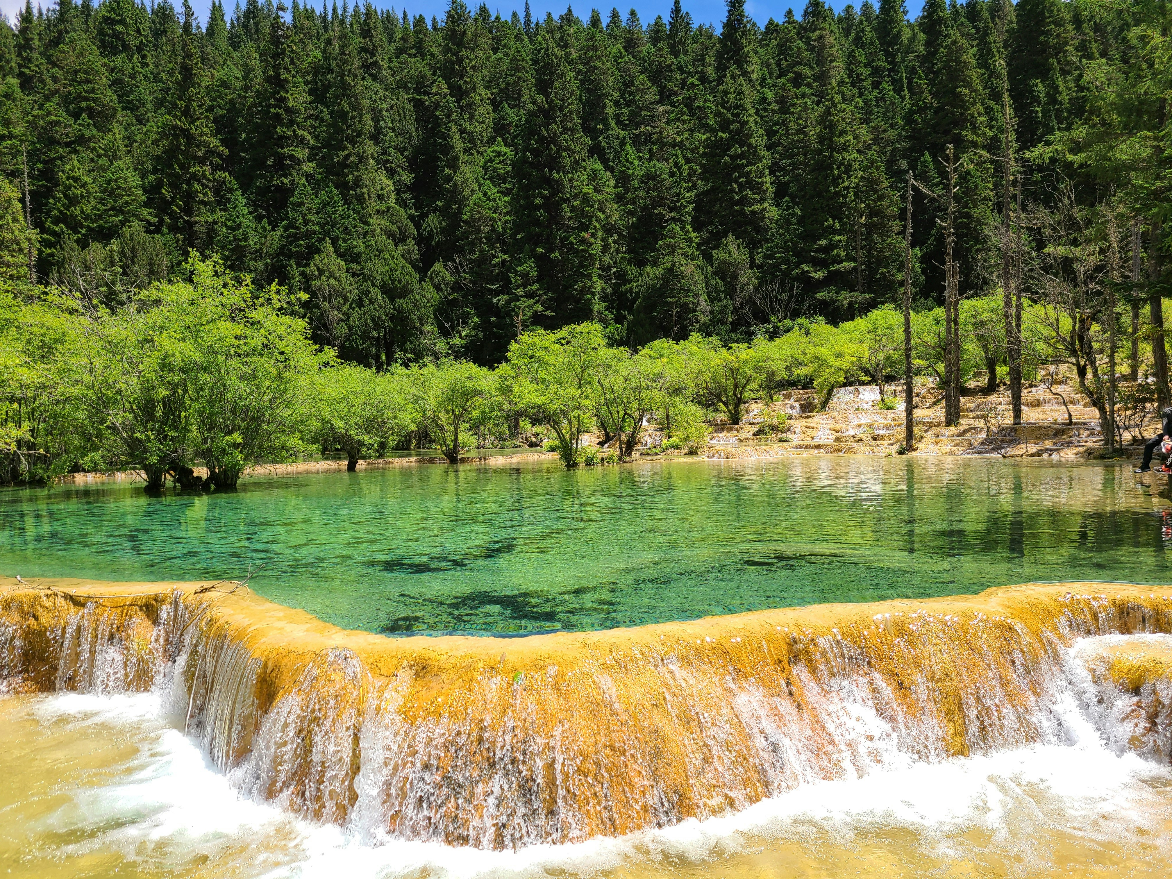 lake forest wallpaper, wallpaper, Camping Near Standing Water: A Complete Guide 4