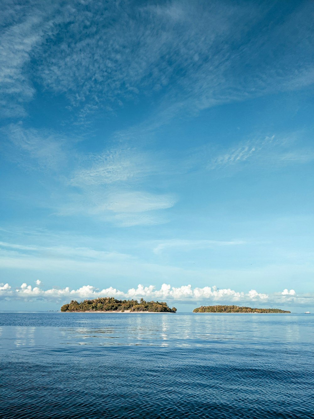 a small island in the middle of a body of water