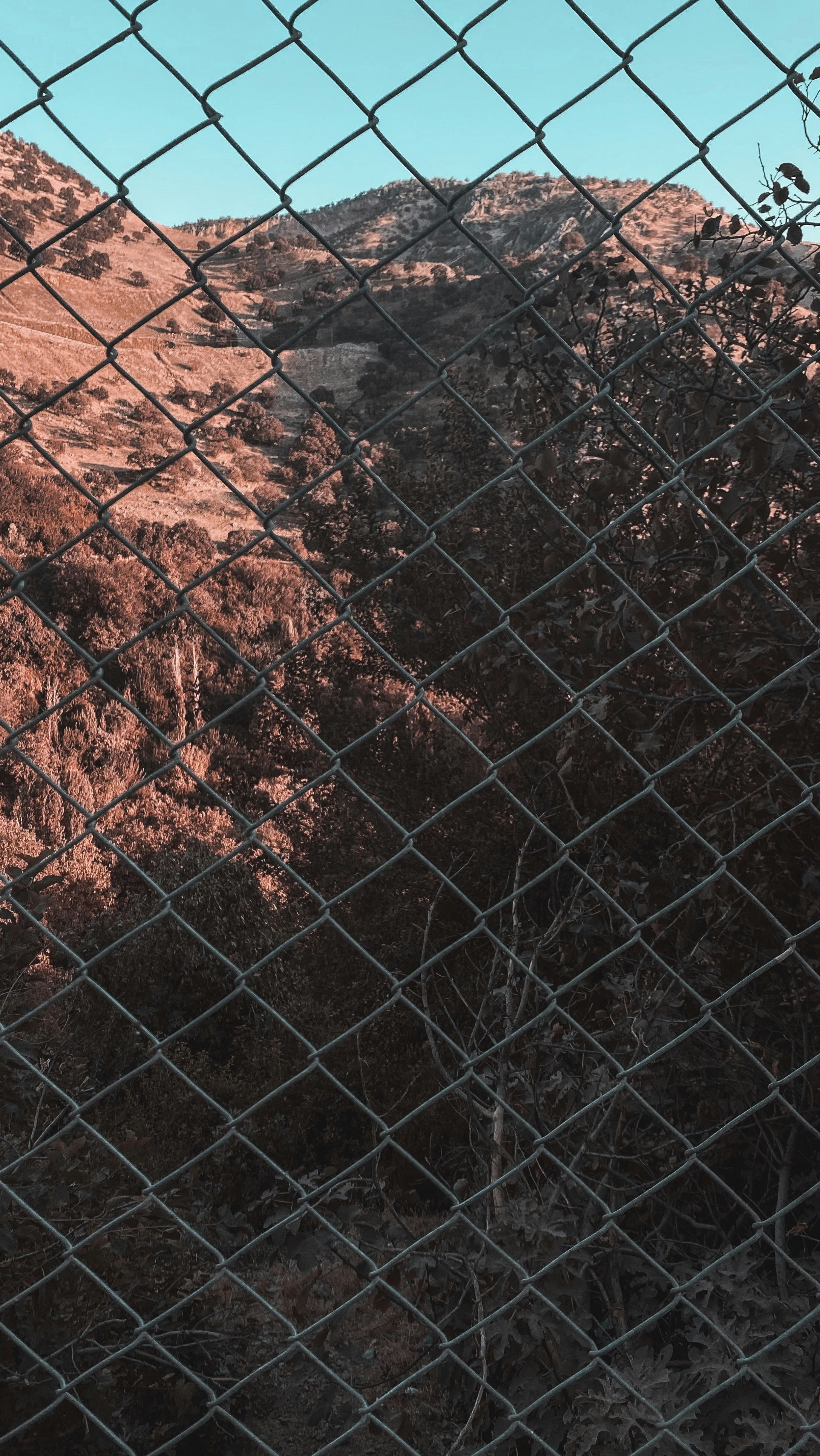 Photo by husam_thaer95