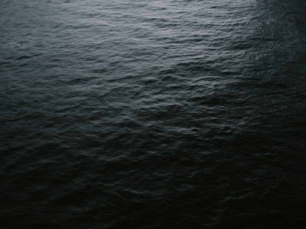 a black and white photo of a body of water