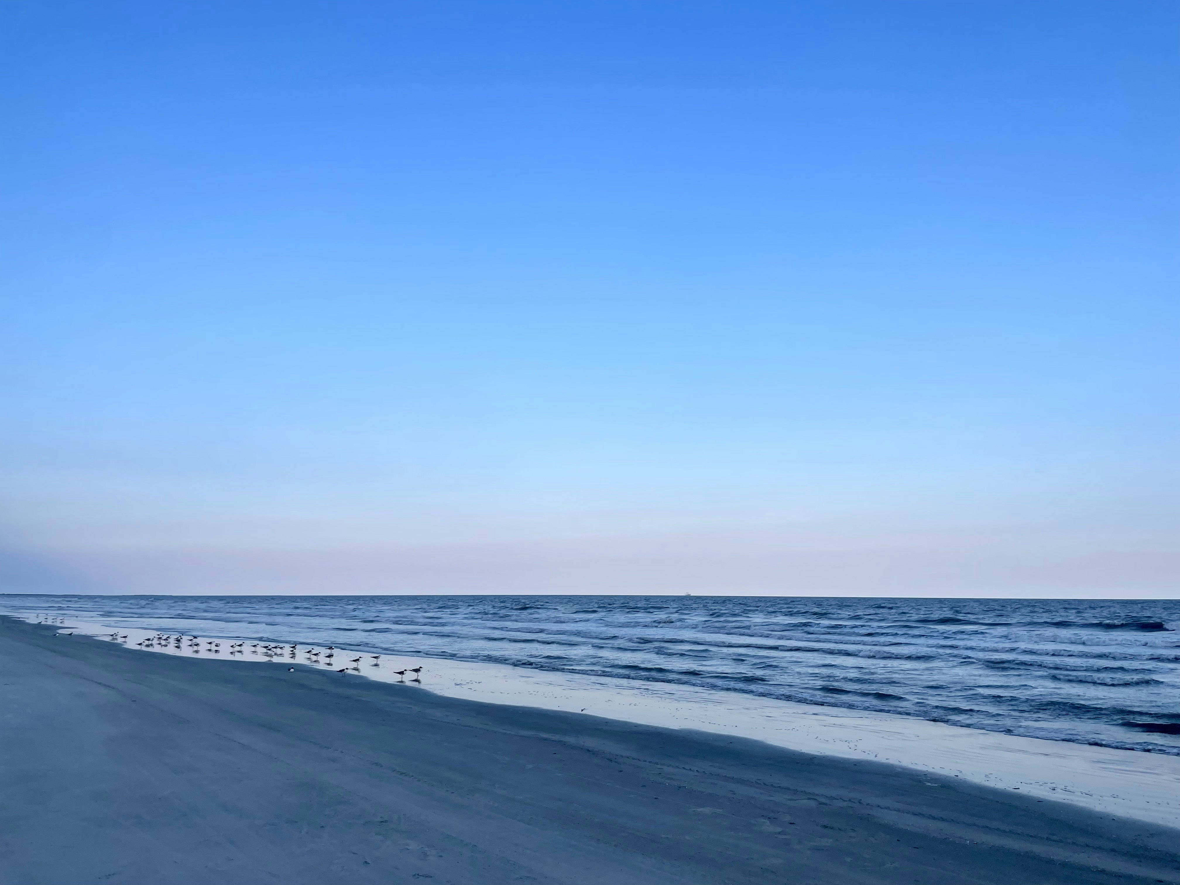 Fun Things to Do in Kiawah Island, SC