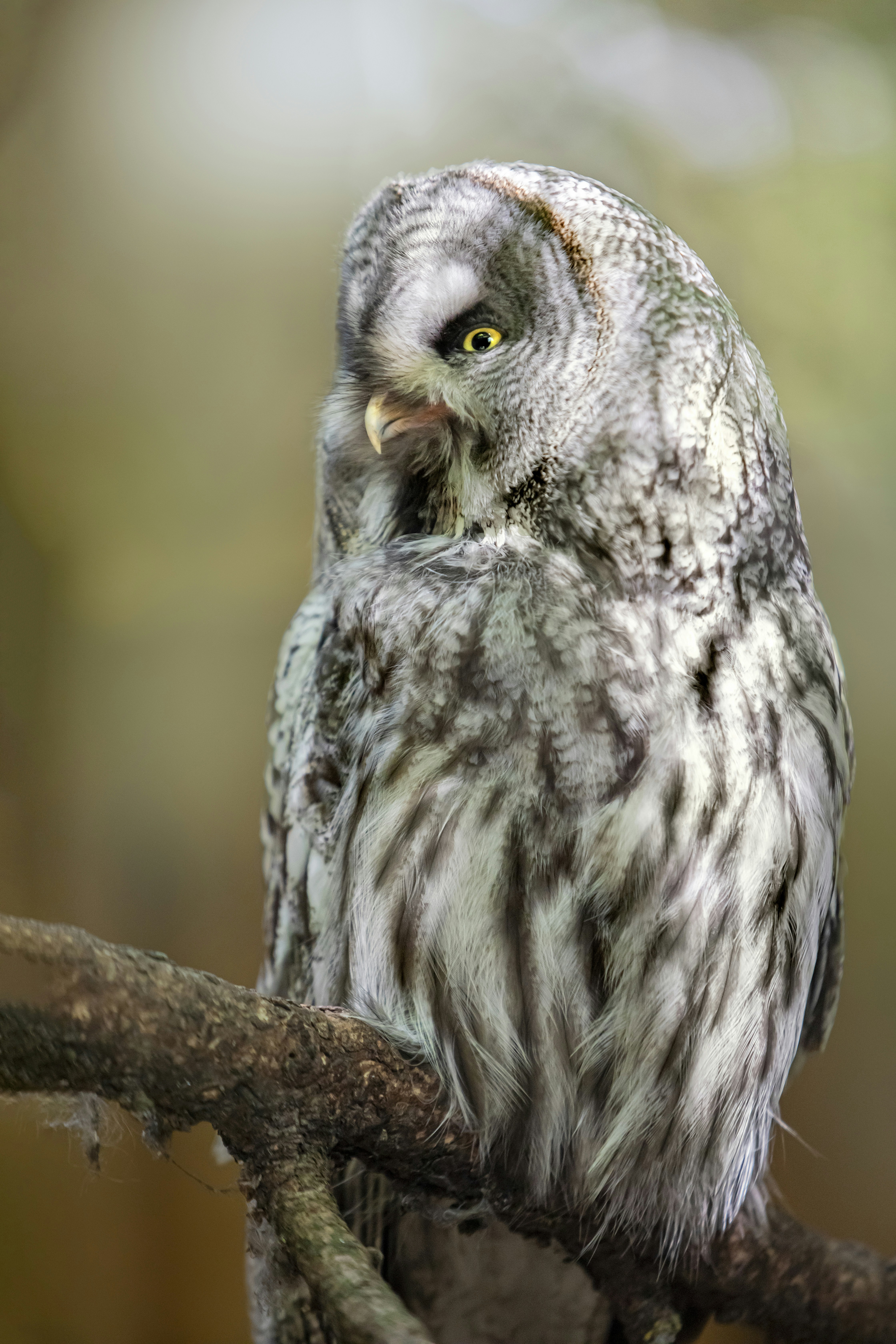 Photo by erik_karits