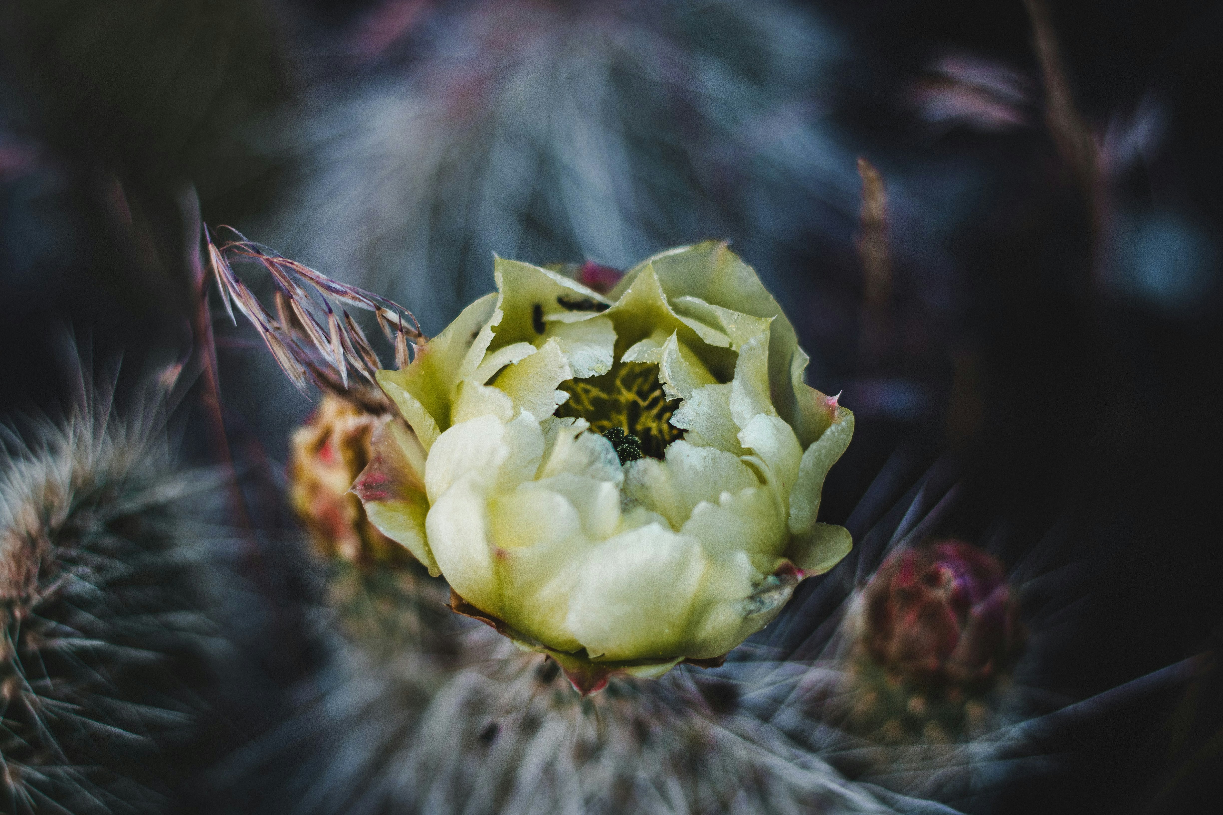 Photo by brice_cooper18