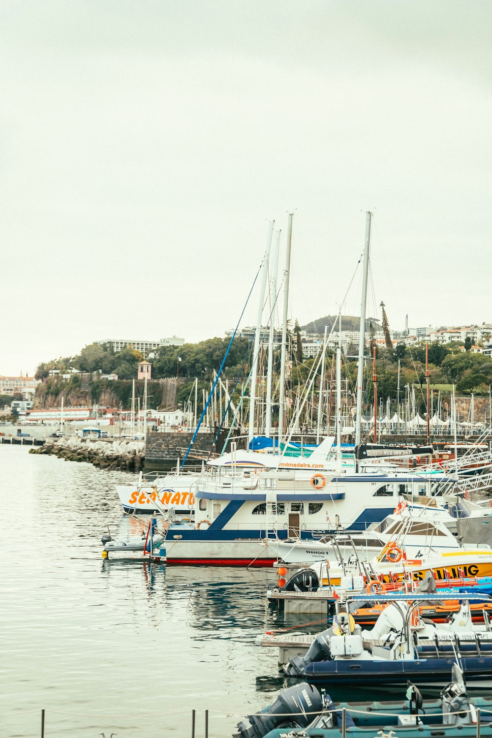 a harbor filled with lots of boats on top of water