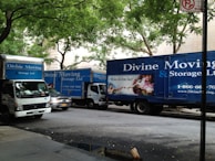 Several moving trucks from Divine Moving & Storage Ltd are parked along a street lined with trees. The trucks are large and blue, with company logos and contact information visible. A painting detail is incorporated into the truck design. The street has a sidewalk with some water reflecting the surroundings.