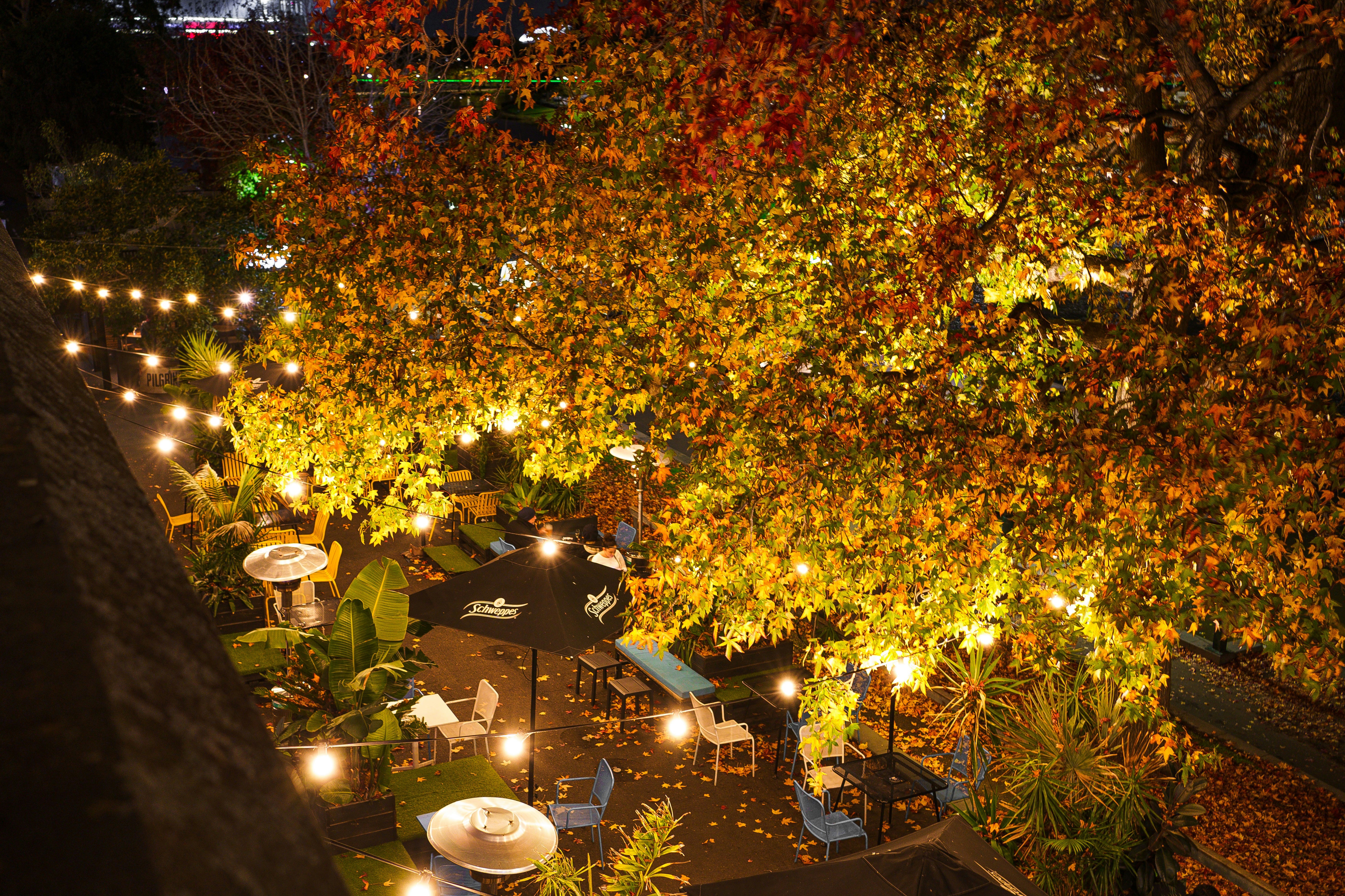 a night time view of a patio with tables and umbrellas