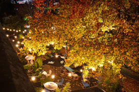 a night time view of a patio with tables and umbrellas