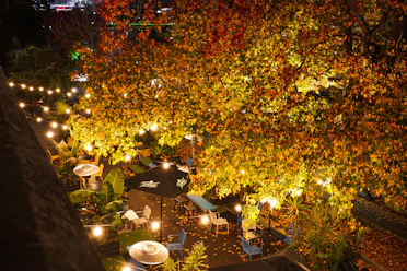a night time view of a patio with tables and umbrellas
