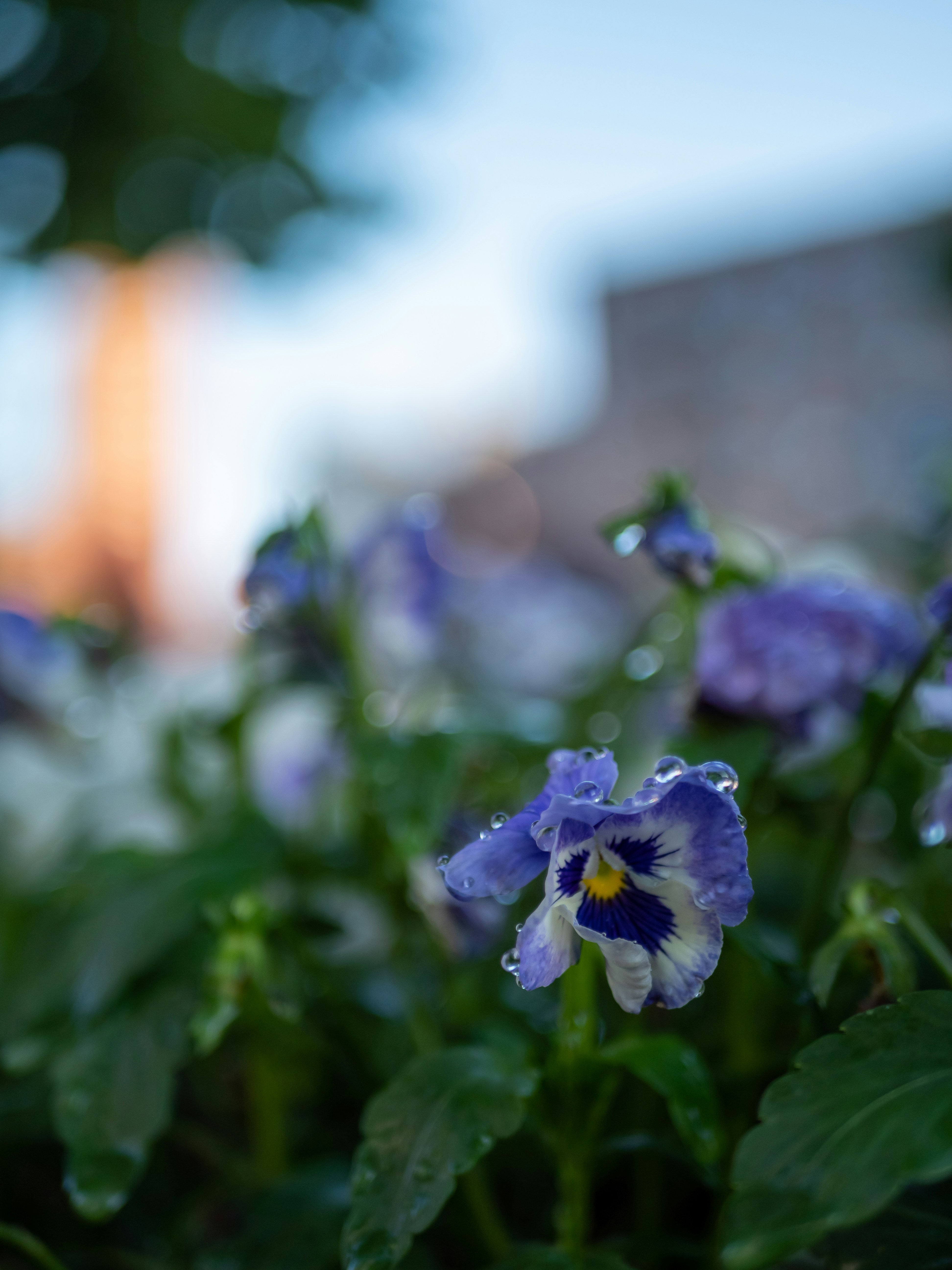 Photo by gabrielalmanzar