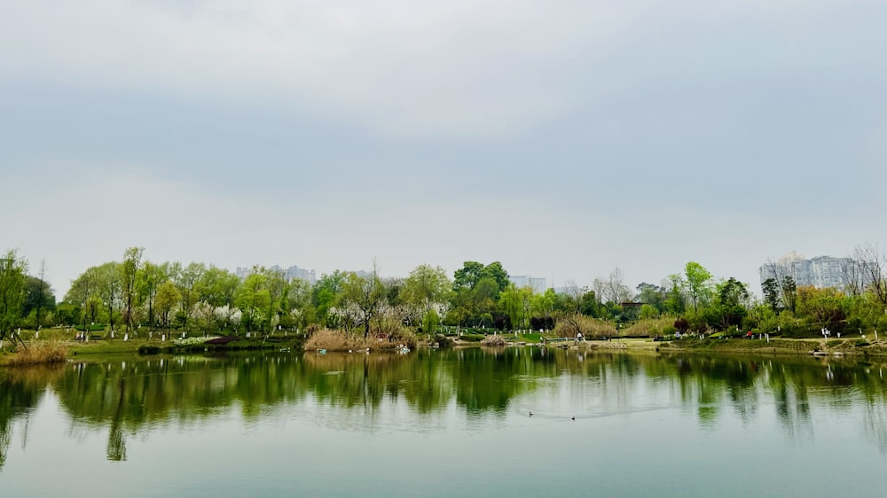 a body of water with trees in the background