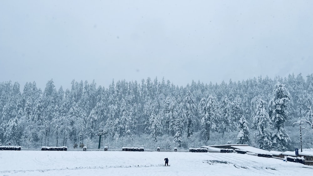 a person standing in a snow covered field