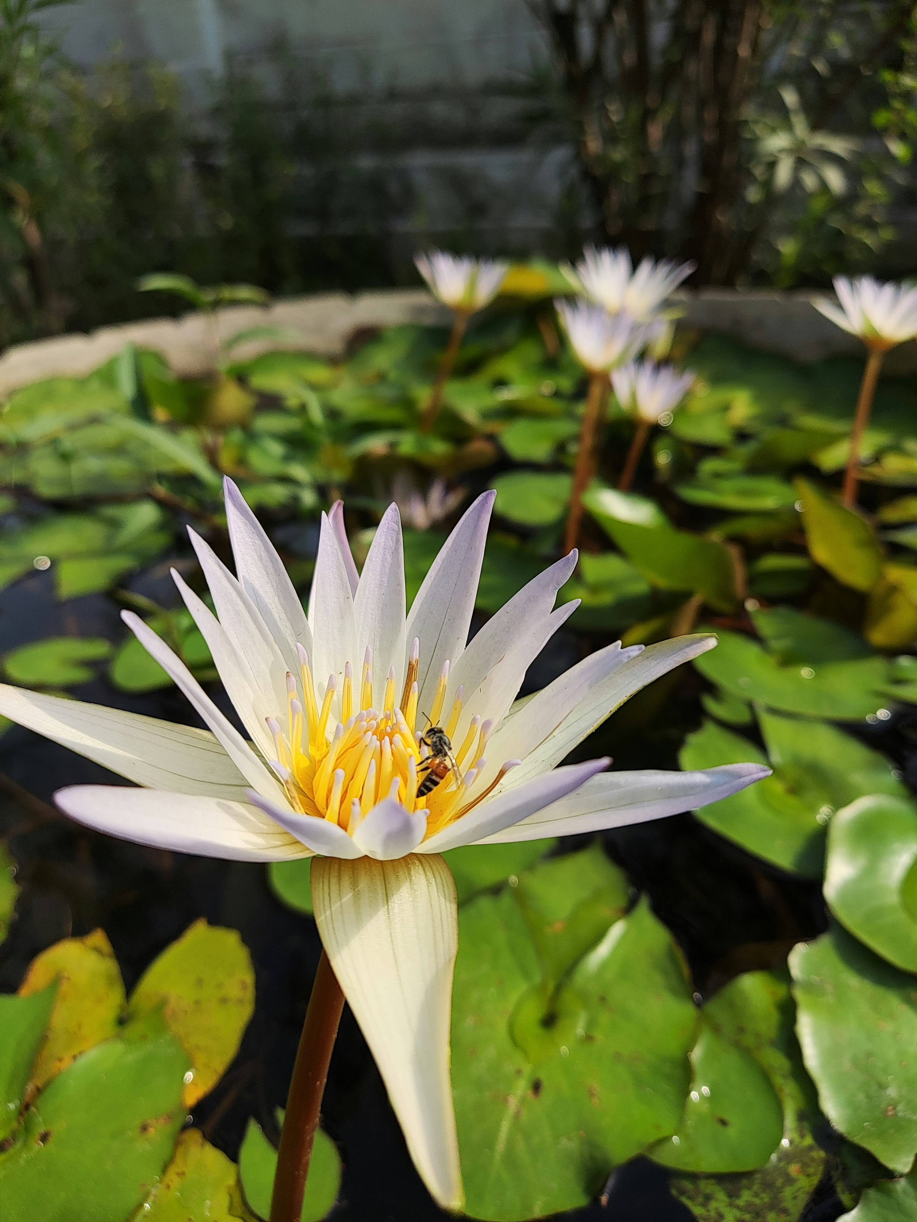 Photo by opacaro_phile