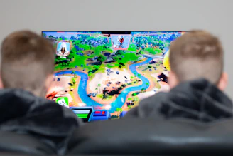 two boys are playing a video game on the television