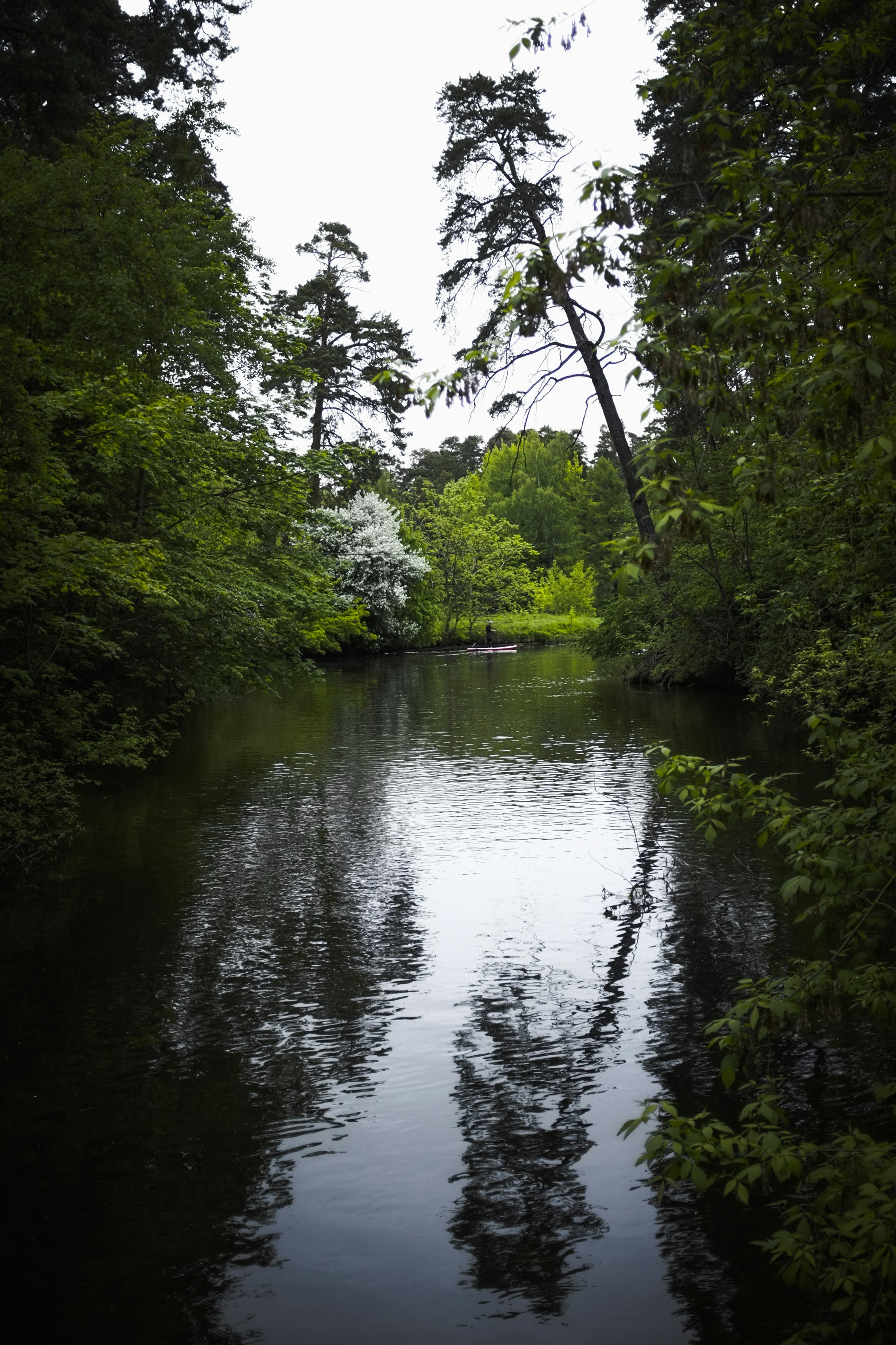 Photo by kirillpershin