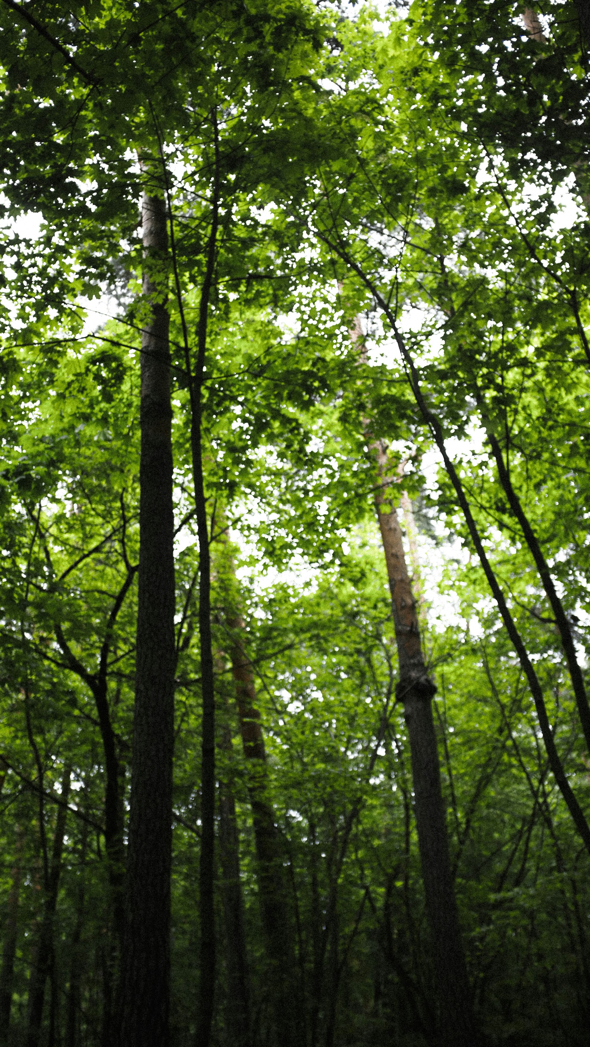 Photo by kirillpershin