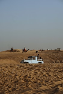 a car in the middle of a desert with camels in the background