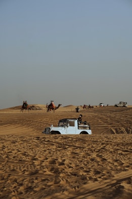 a car in the middle of a desert with camels in the background
