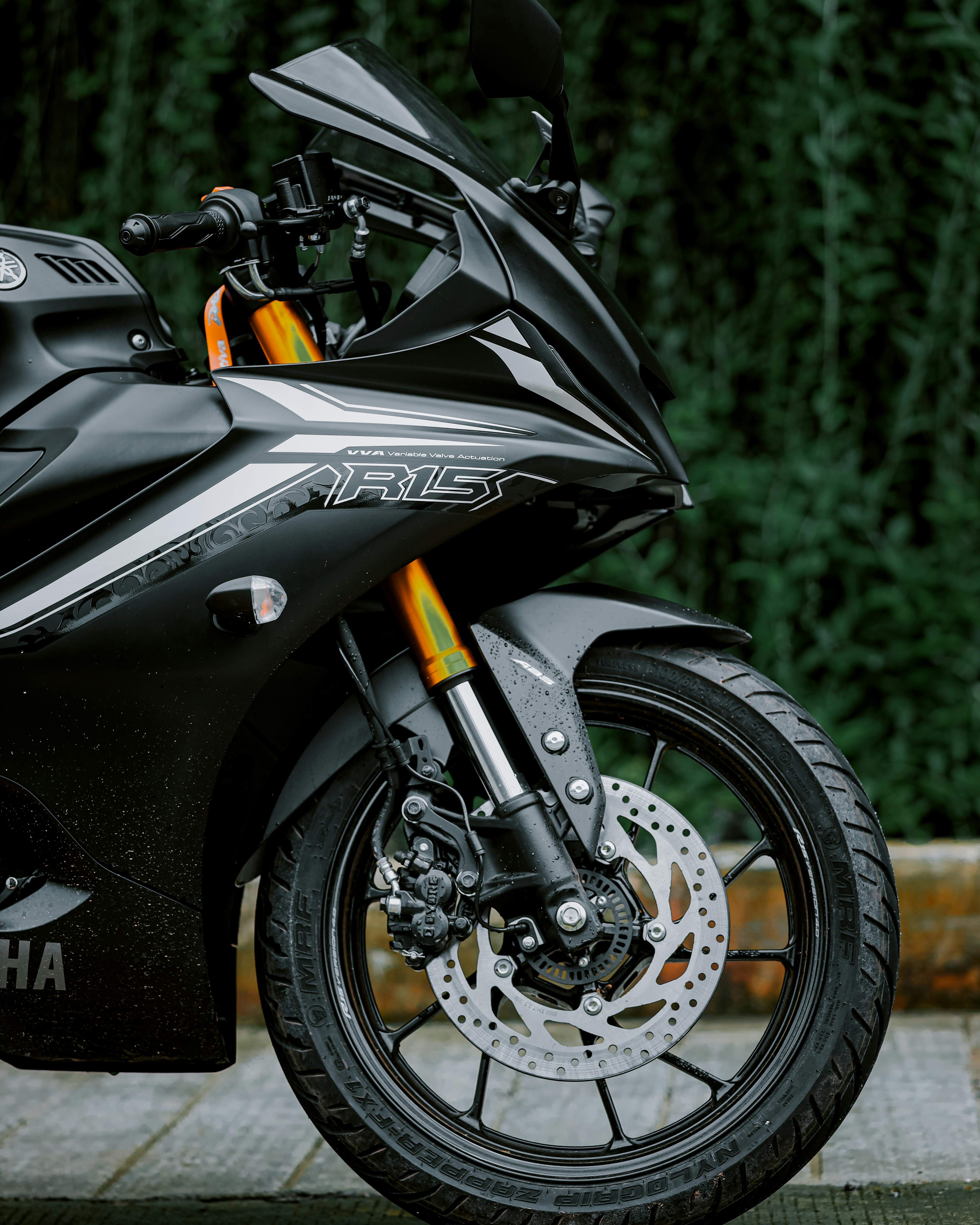 Photo by eshakangell