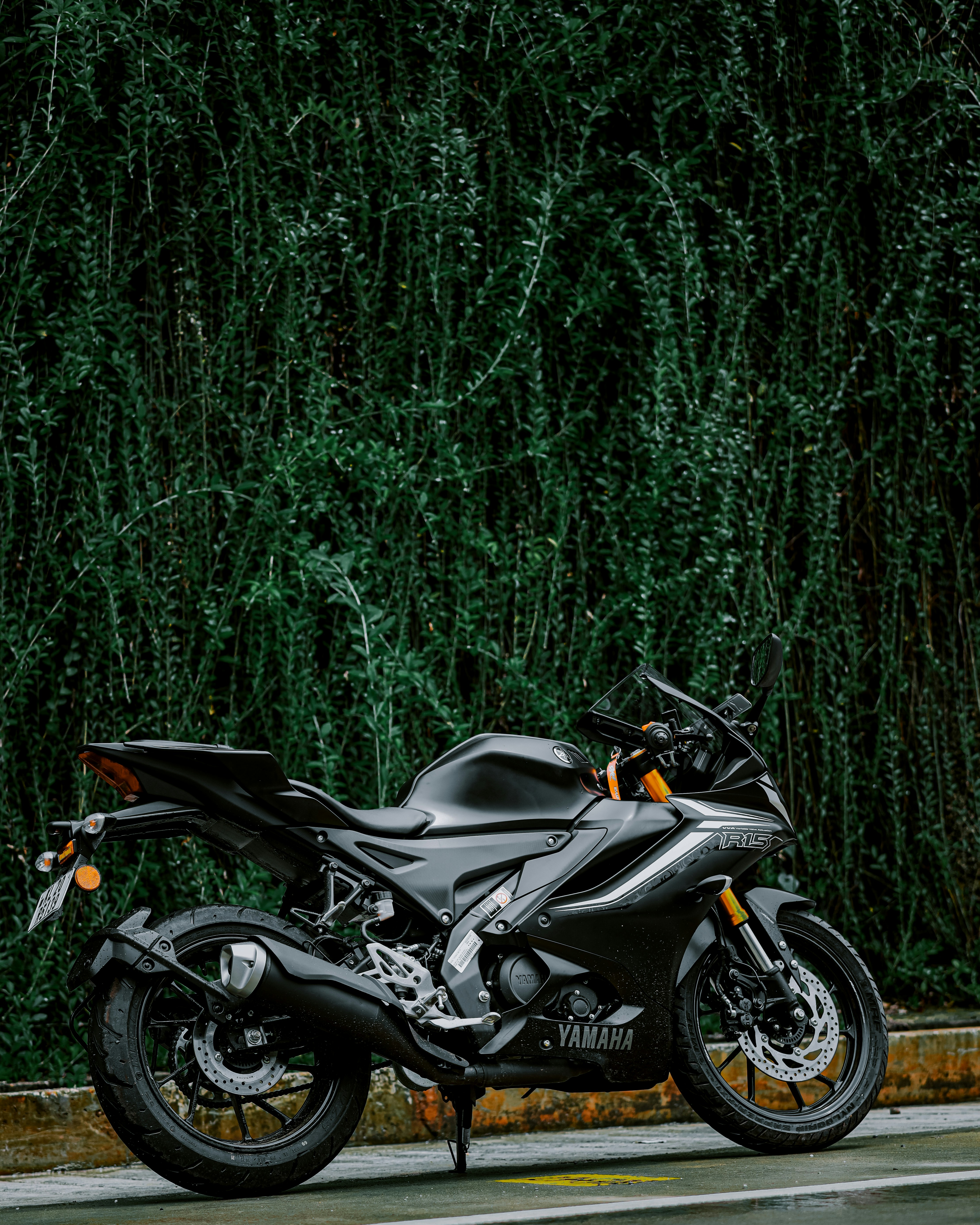 Photo by eshakangell