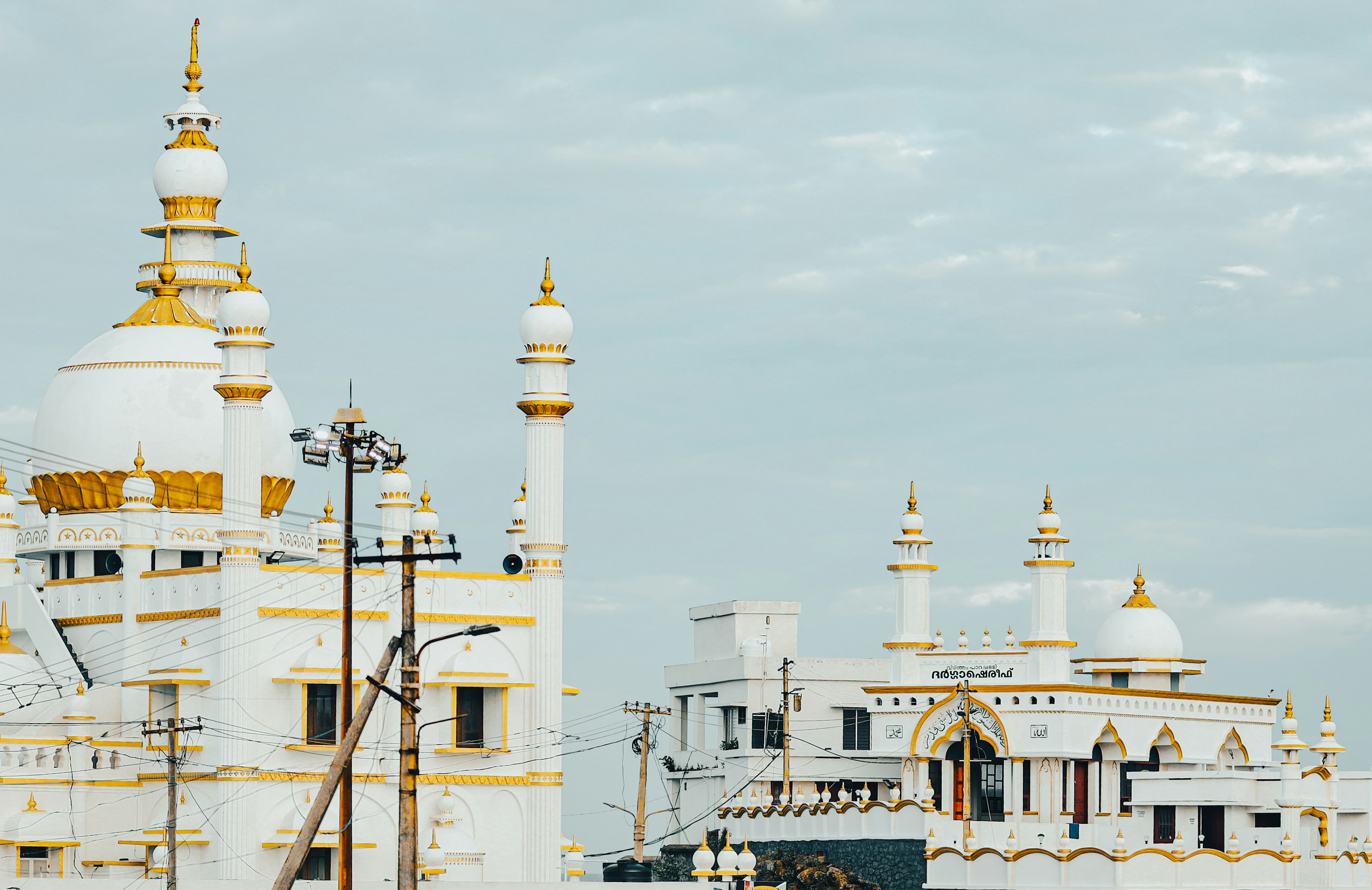 Photo by eshakangell