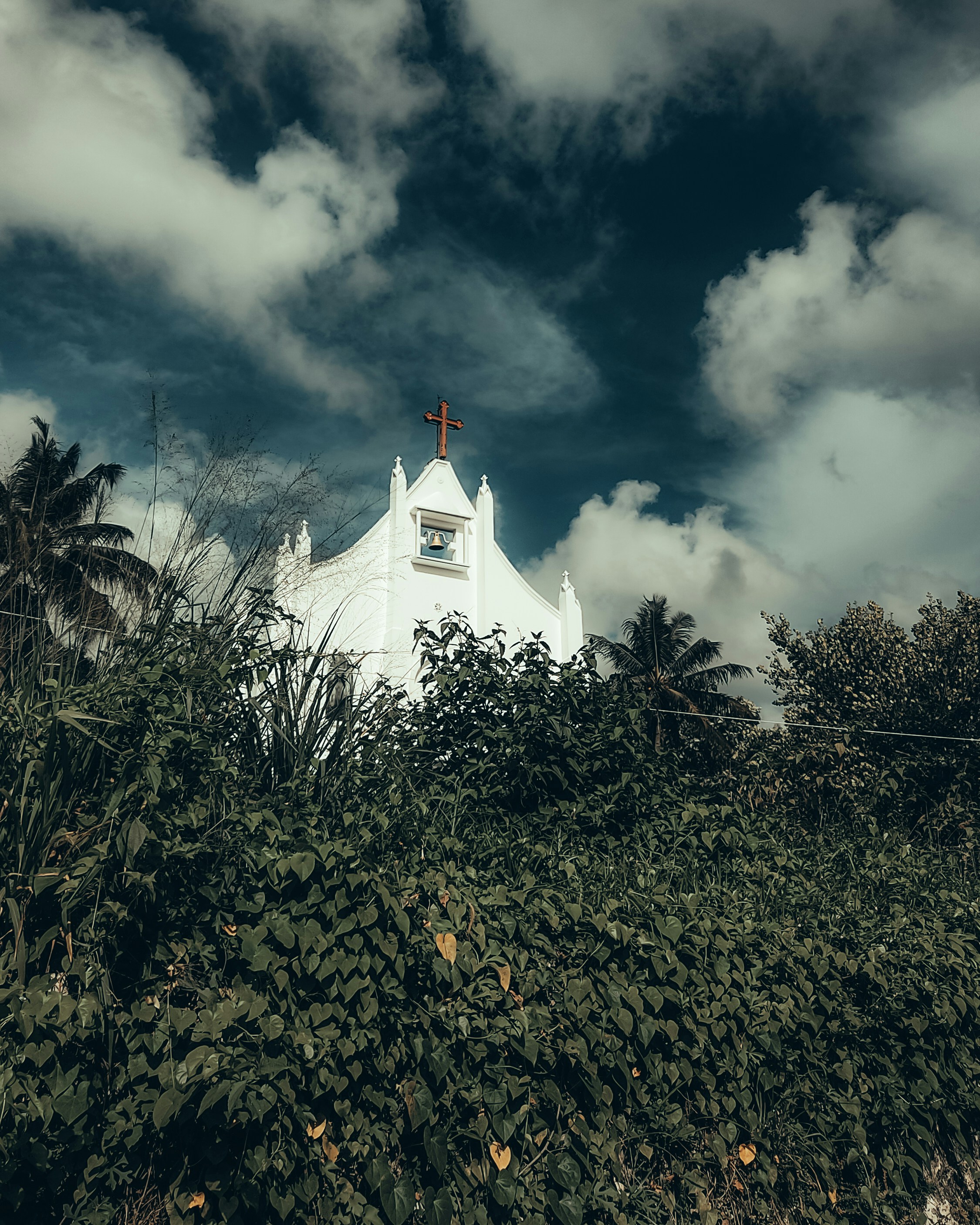 Photo by eshakangell