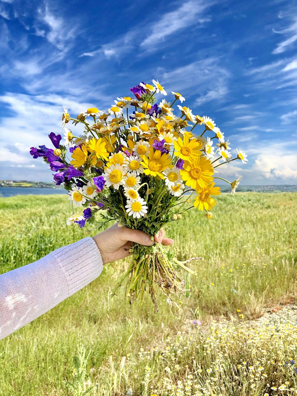 a person holding a bouquet of wildflowers in a field