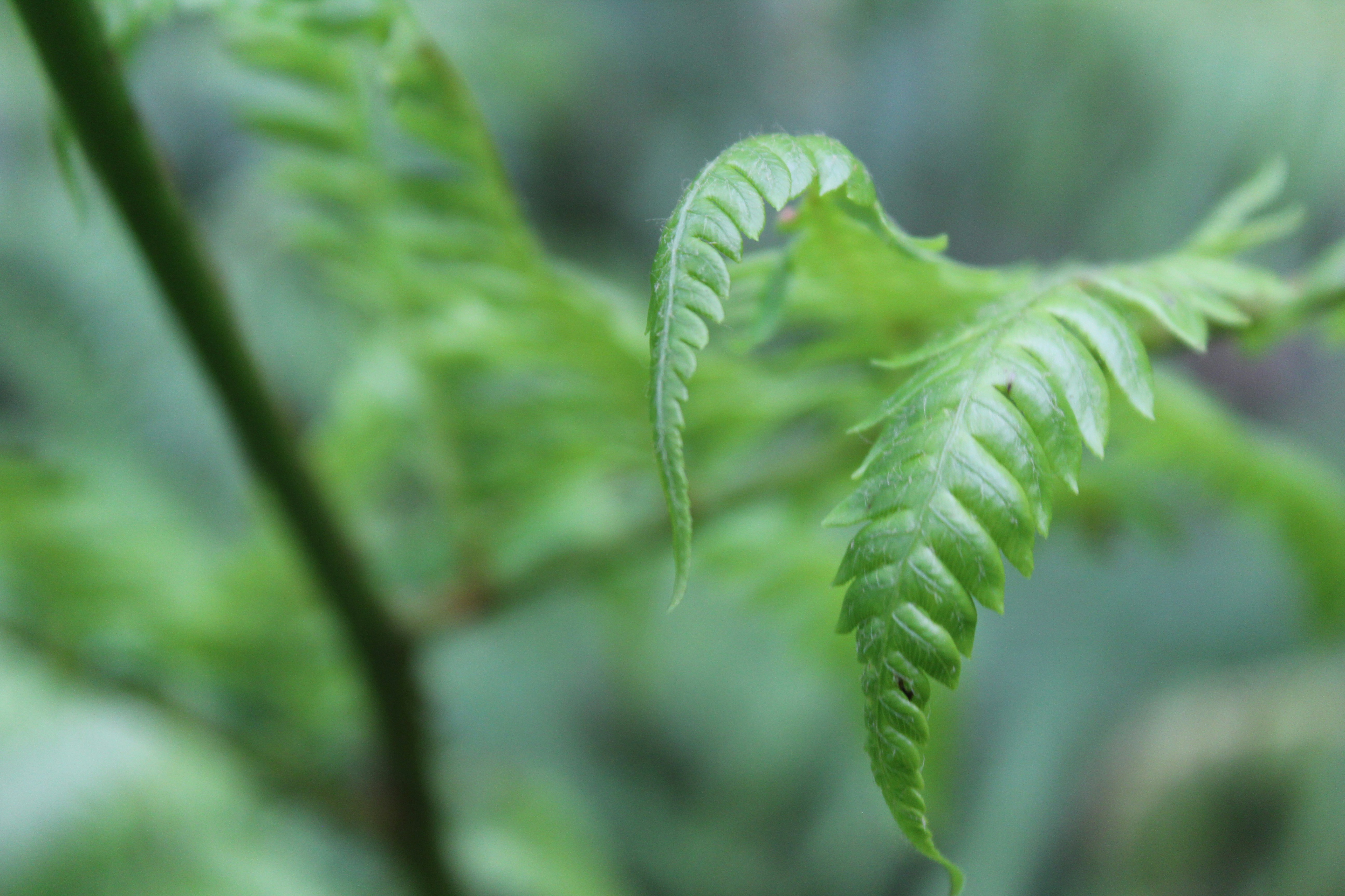 Photo by light_and_hope