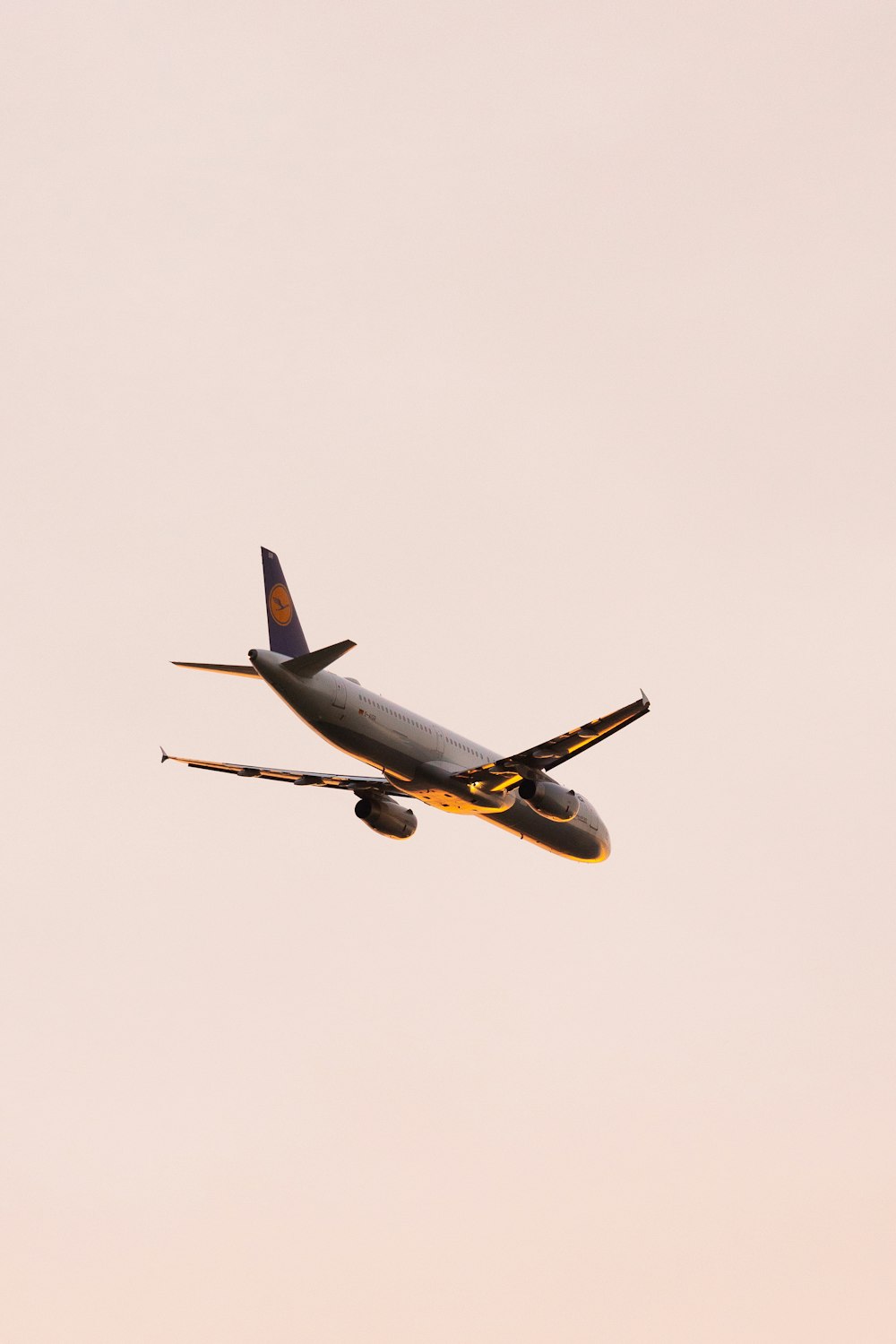 Un grande aereo di linea che vola attraverso un cielo rosa