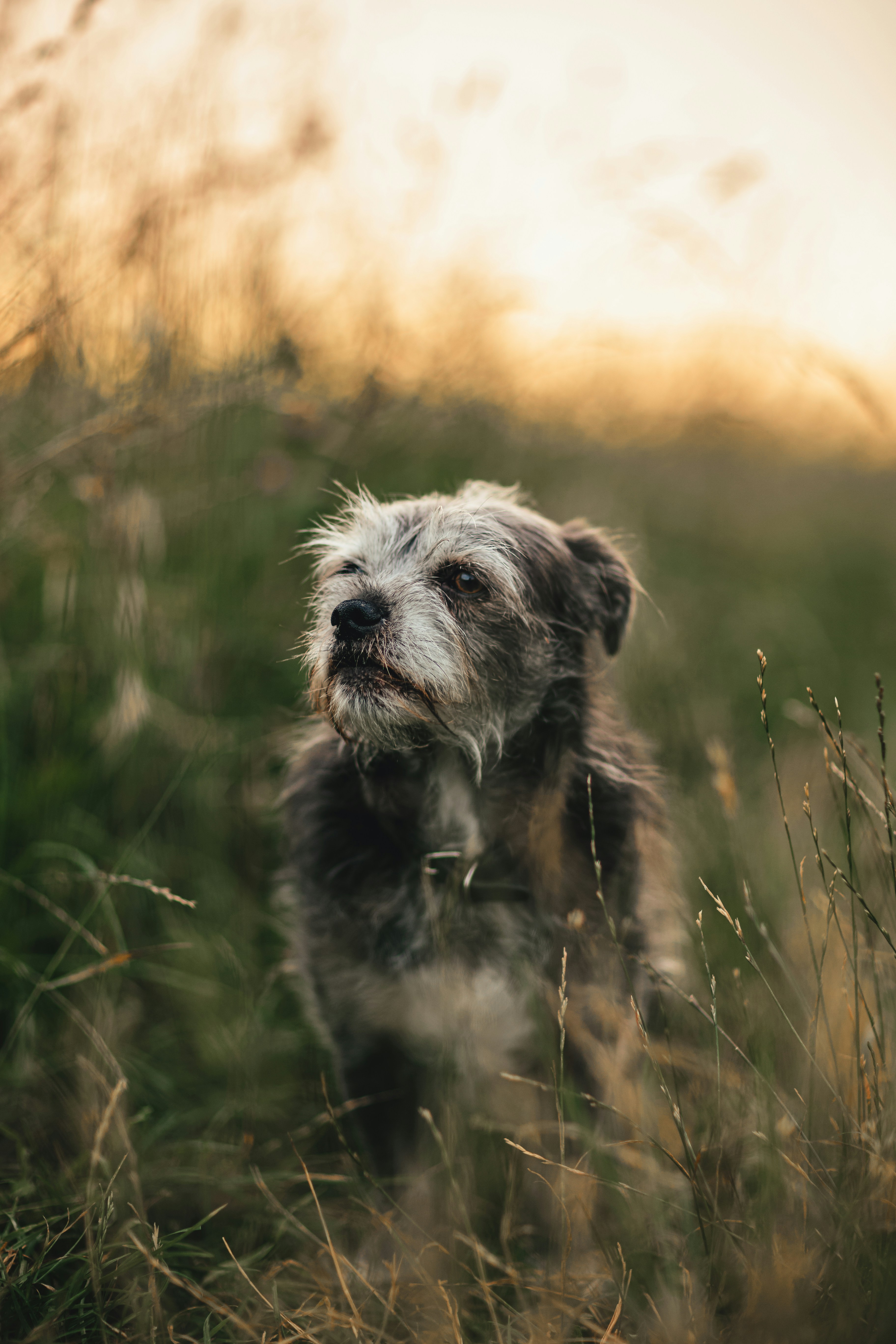 Why Your Hand Hurts: Fixing the Physical Side of Digital Art