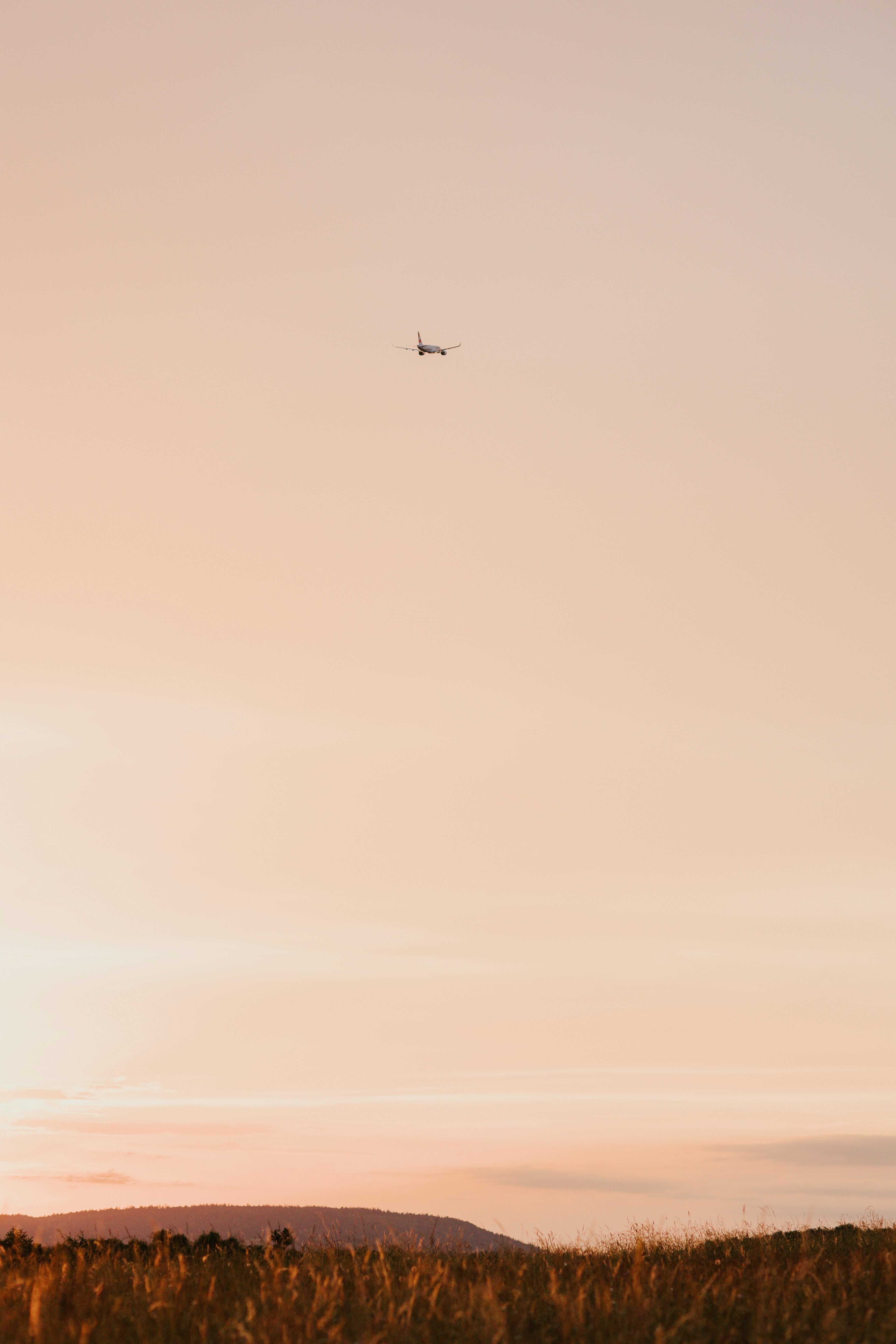 purple painters tape