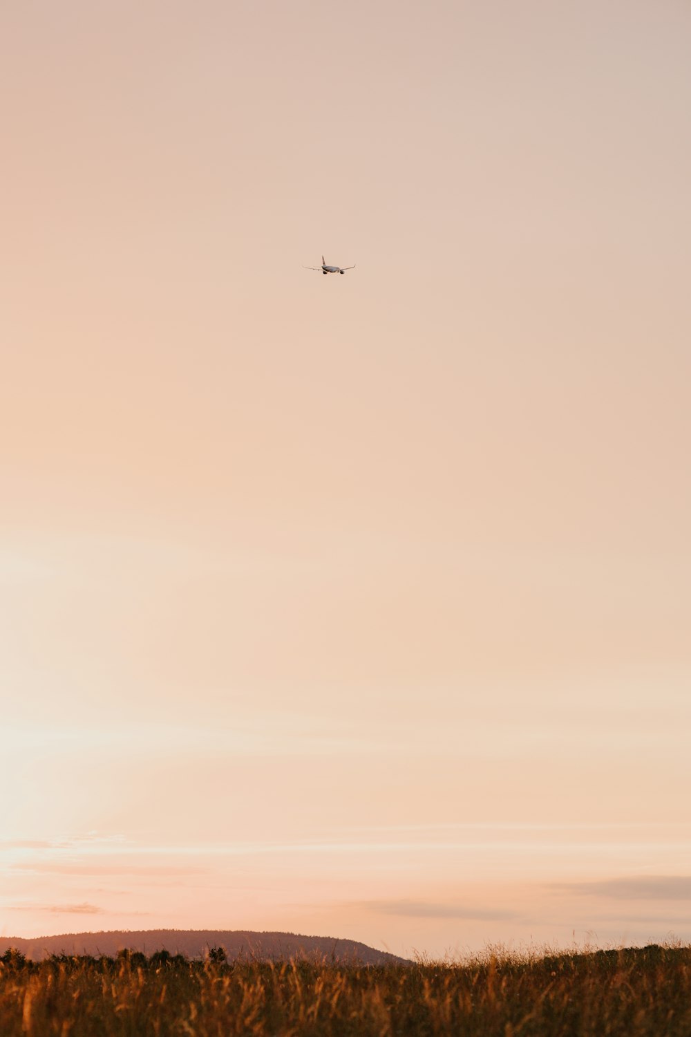 a plane flying in the sky over a field